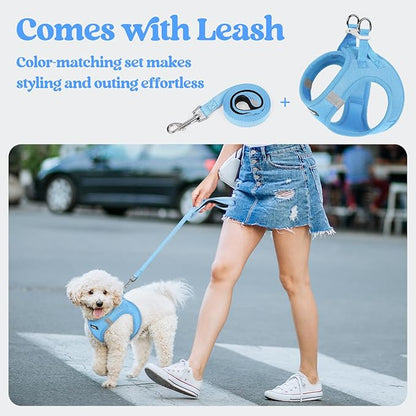 rabbitgoo Dog Harness Small Medium Sized and Leash Set, Step in Soft Light Puppy Vest, Breathable Mesh Pet Harness, Reflective for Safe Easy Walking, Blue L