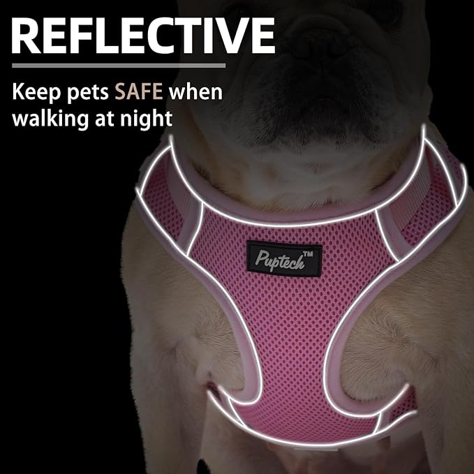PUPTECK Small Dog Harness and Leash Set, No Pull Adjustable Puppy Cat Harness, Reflective Soft Mesh Pet Vest Small Sized, Pink, XS