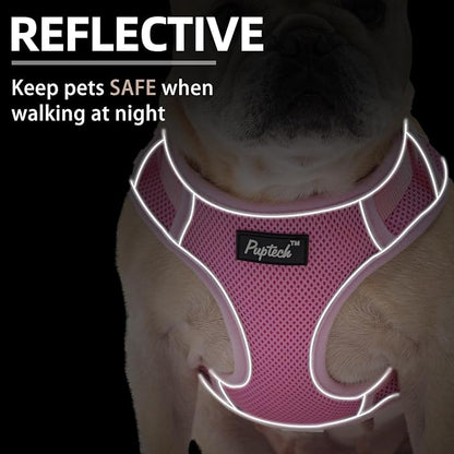 PUPTECK Small Dog Harness and Leash Set, No Pull Adjustable Puppy Cat Harness, Reflective Soft Mesh Pet Vest Small Sized, Pink, L