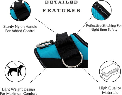 ShawnCo Essential Dog Harness, No-Pull Pet Vest with 3 Leash Clips, No Choke, Reflective, Adjustable and Padded, for Easy Walking and Training for Small, Medium and Large Dogs (Moonglow, S)
