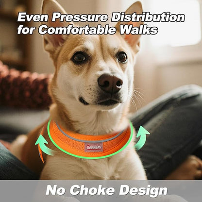 Dog Harness and Leash Set,Step in Small Sized Dog Harness,Soft Mesh,No-Chock,Reflective Adjustable,Secure with Hook & Loop Fastener,Puppy Vest for Small,Medium Dogs(Orange,M)