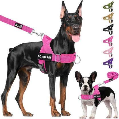 Lukovee No Pull Dog Harness & Leash Set - Heavy Duty Dog Vest Harness with Soft Padded for Medium Large Dogs, Adjustable Reflective Tactical Pet Harness for Easy Walk and Training (M, FU)
