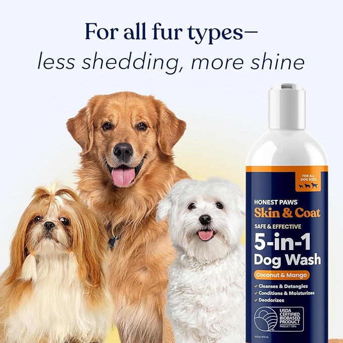 Honest Paws Dog Shampoo and Conditioner - Premium Dog Wash for Allergies and Dry, Itchy, Moisturizing for Sensitive Skin - Sulfate Free, Plant Based, All Natural - Coconut & Mango -16 Fl Oz