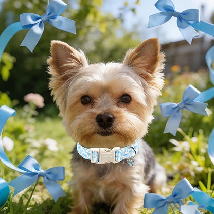Lionet Paws Summer Dog Collar- Cute Blue Bow Dogs Collar with Plastic Buckle and Bowtie Pendant,Dog Collar for Medium Large Dogs Boy