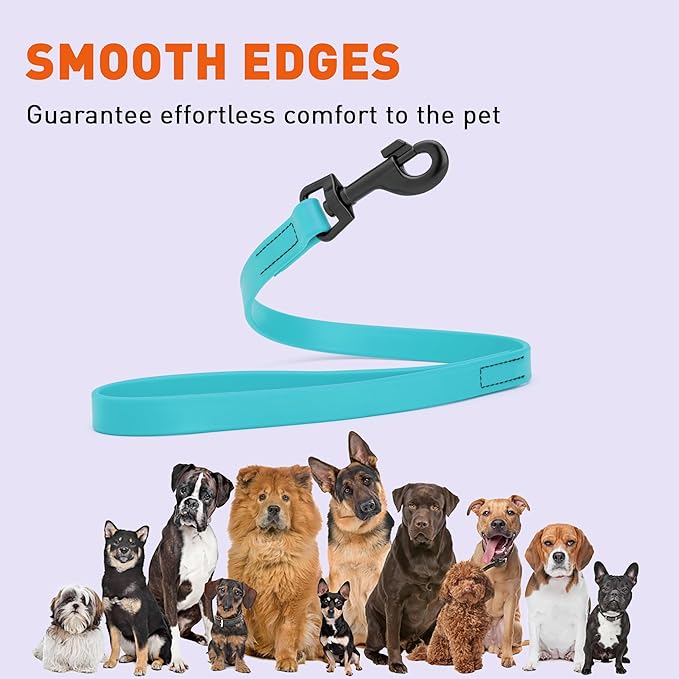 Dogline Biothane Waterproof Dog Leash Strong Coated Nylon Webbing with Black Hardware Odor-Proof Easy to Clean High Performance for Small or Large Dogs Made in USA 2 ft Lead, Sky Blue