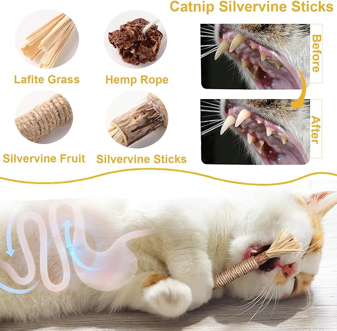LNOVANT 6-Pack Interactive Cat Toys for Indoor Cats, Catnip Toys, Includes Silvervine Sticks for Kitten Teething and Dental Play - Fun Cat