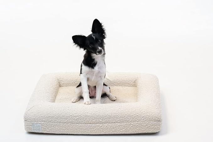 Bluewater Dog Luxury Boucle Orthopedic Memory Foam Dog Bed with Waterproof Liner and Machine Washable Cover with YKK Zippers (Small, 29" L x 23" W x 6" Th, Cloud)