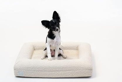 Bluewater Dog Luxury Boucle Orthopedic Memory Foam Dog Bed with Waterproof Liner and Machine Washable Cover with YKK Zippers (Small, 29" L x 23" W x 6" Th, Cloud)