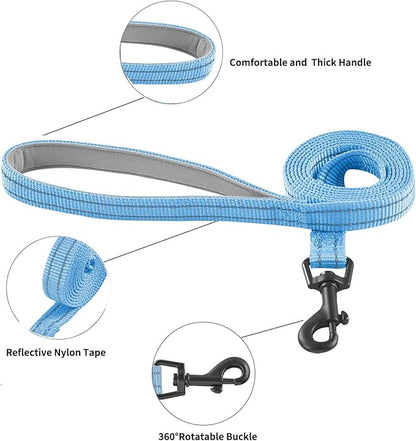 Hipubby Dog Harness and Leash Set, No Pull Soft Mesh Puppy Harness for Small Medium Dogs, Cats - Step in Reflective Breathable Lightweight Vest Harness for Walking, Training - Blue, XXS