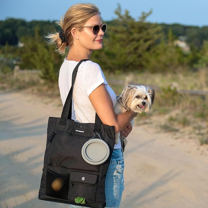 Cleverpup Park Pack 2-Piece Set Dog Gear Tote – Dog Travel Bag with 8 Pockets, Treat Pouch, Poop Bag Dispenser, Quick-Dry Ball Pocket, Collapsible Bowl, Perfect for Walks & Park Trips, Graphite