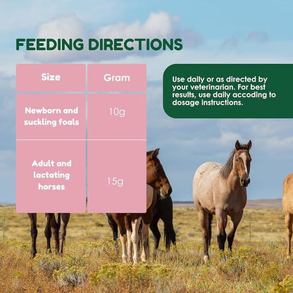 Horse Probiotics (80cc), Horse Paste Pre and Probiotics +Vitamins &Minerals- 4 Strains and 8 Billion CFU per Serving- Immune and Gastro Health Support for Equines