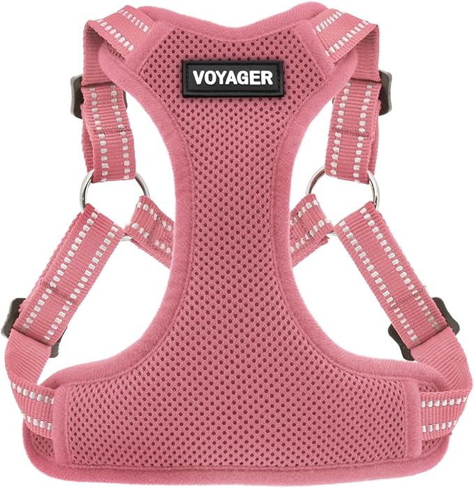 Best Pet Supplies Voyager Adjustable Step-In Flex Breathable Mesh Dog Harness for Small Medium Large Dogs (Pink), M