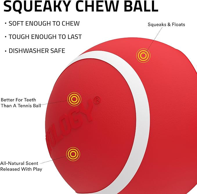 Playology Dog Toys | Rainbow of Scent Chew Toy Gift Box - Squeaky Chew Balls for Dogs | Peanut Butter, Chicken, & Beef Scented Toys - Easy to Clean and Made from Non Toxic Materials