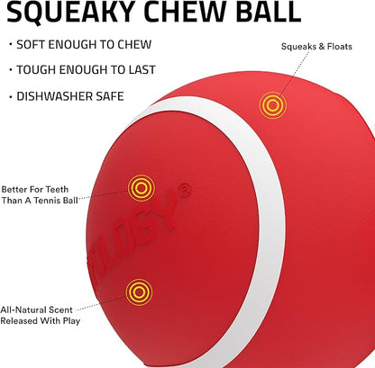 Playology Dog Toys | Rainbow of Scent Chew Toy Gift Box - Squeaky Chew Balls for Dogs | Peanut Butter, Chicken, & Beef Scented Toys - Easy to Clean and Made from Non Toxic Materials