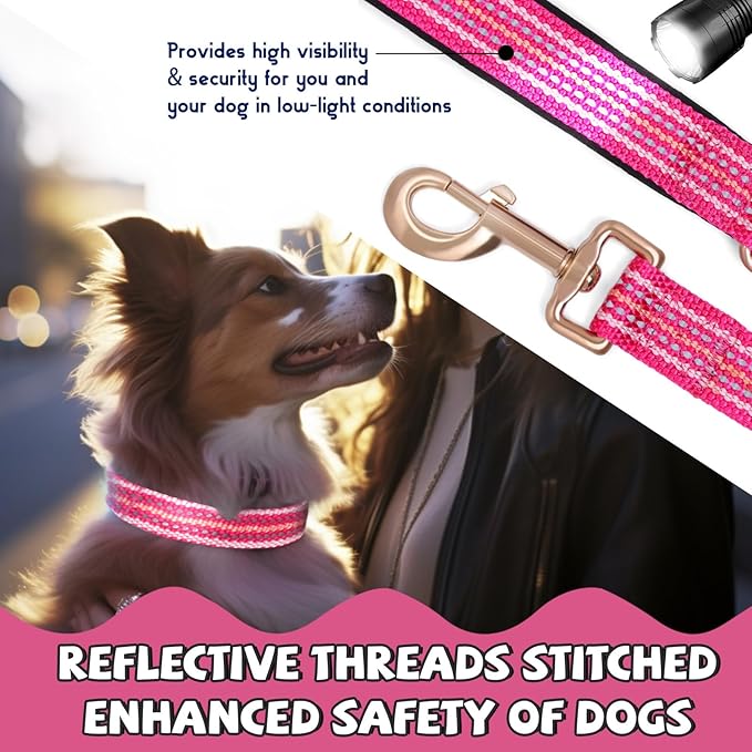 Reflective Dog Collar and Leash Set, Nylon Dog Leash with Heavy-Duty Steel D-Ring, Adjustable with Quick Release Buckle for Small Dogs,Hot Pink S