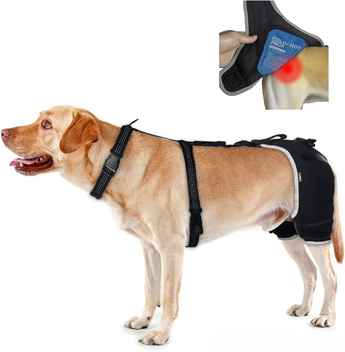 Hip Dysplasia Brace for Dogs with Hot/Cold Pack — Breathable and Comfortable Hip Support for Mild Torn ACL, Arthritis & Post-Recovery Mobility, Size XL