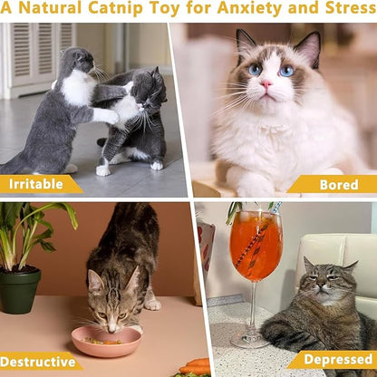 LNOVANT 6-Pack Interactive Cat Toys for Indoor Cats, Catnip Toys, Includes Silvervine Sticks for Kitten Teething and Dental Play - Fun Cat