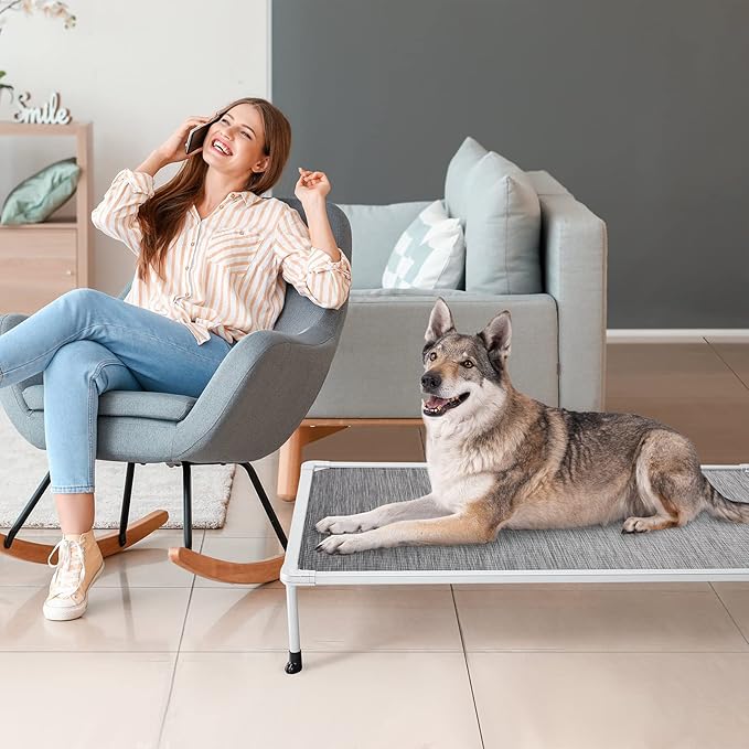 Veehoo Chewproof Elevated Dog Bed - Cooling Raised Pet Cot, Breathable Mesh, Washable & Non-Slip for large Dogs, Indoor/Outdoor, Black Silver Mat and Silver Metal Frame, 49x33inches (Model CWC2203B03)