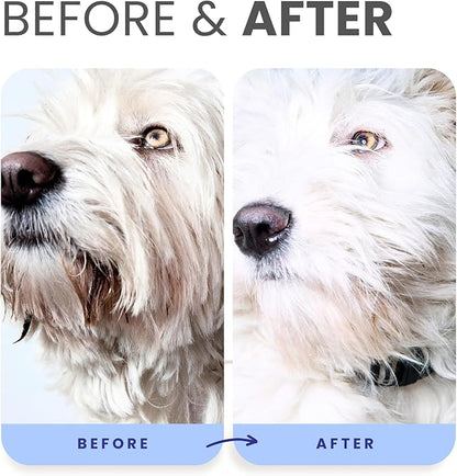 Lillian Ruff PRO Formula Berry Blue Brilliance Bundle - Ultimate Tear Stain & Odor Eliminator Set, Includes Berry Blue Shampoo, Conditioner & Waterless Shampoo, Hydrate, Soften & Detangle, USA Made