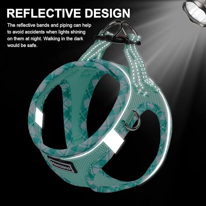 Mercano Soft Mesh Dog Harness and Leash Set, No-Chock Step-in Reflective Breathable Lightweight Easy Walk Vest Harnesses with Safety Buckle for Small Dogs, Cats (Light Green, XL)