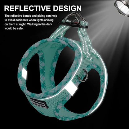 Mercano Soft Mesh Dog Harness and Leash Set, No-Chock Step-in Reflective Breathable Lightweight Easy Walk Vest Harnesses with Safety Buckle for Small Dogs, Cats (Light Green, XL)