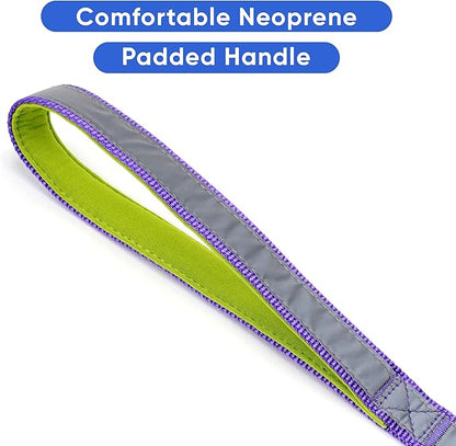 Pawtitas 6 FT Padded Dog Leash with Comfortable Neoprene Padding Handle - Purple Lead | Small Reflective Dog Leash with Highly Reflective Band Perfect for Extra Small and Small Dogs and Puppies.