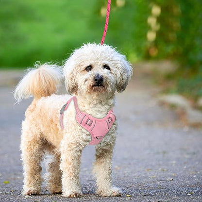 BARKBAY No Pull Dog Harness Large Reflective Dog Harness with Front Clip and Easy Control Handle for Walking Training Running with ID tag Pocket(Baby Pink,XS)