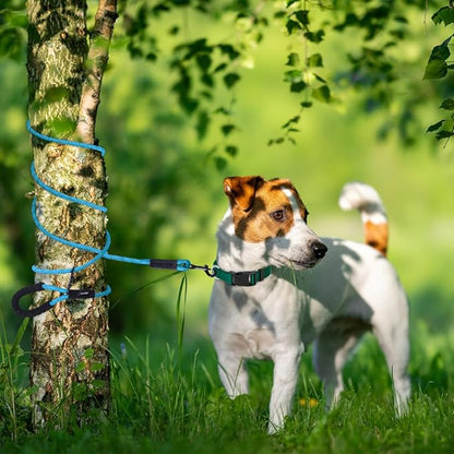 Long Leash for Dogs 10ft 16ft 30ft 50 Feet 100 Foot Tie Out Check Cord Recall Obedience Rope Lead Extra Longline Long Dog Leash for Small Medium Large Dogs Outdoor Training Camping Tracking