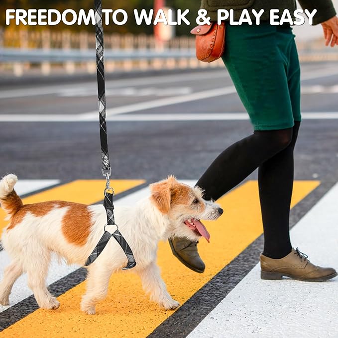BINGPET Dog Harness Collar Leash Set,Adjustable No Pull Escape Proof Small Dog Harness,Classic Plaid Puppy Harness and Leash Set for Small Medium Large Dogs Training Easy Walk Running