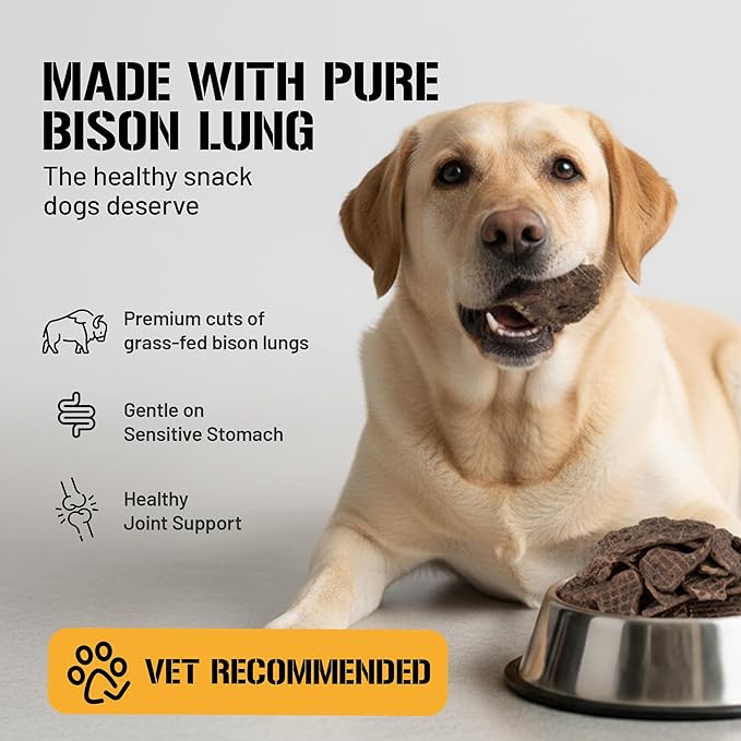 Dog Chits Bison Lung Fillets for Dogs – All-Natural, High Protein Single Ingredient Dog Treats Bison Lung Dog Treats – Grain-Free, Low-Fat – Safe with Sensitive Stomachs – 10 oz
