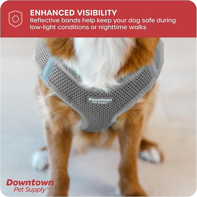 Downtown Pet Supply Step-in Dog Harness – No Pull, Adjustable Padded Mesh with Reflective Trim, Secure Buckle Strap – Comfortable & Breathable Small Dog Harness, Small, Light Gray