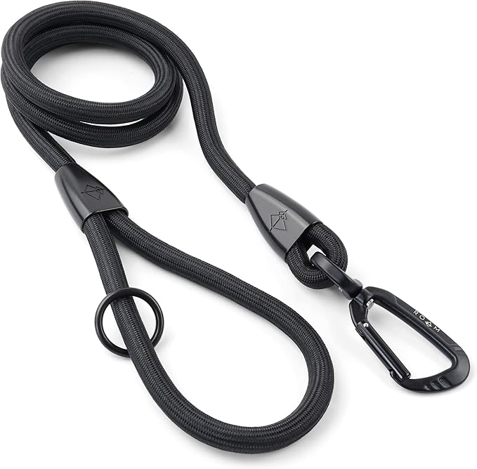 MADE TO ROAM Premium Everyday Leash - Ultra Soft Dog Leash with Aviation Aluminum Carabiner for Small, Medium, Large Dogs - New York Afterlight, 6ft (Rubber Coated Metal Clamps)
