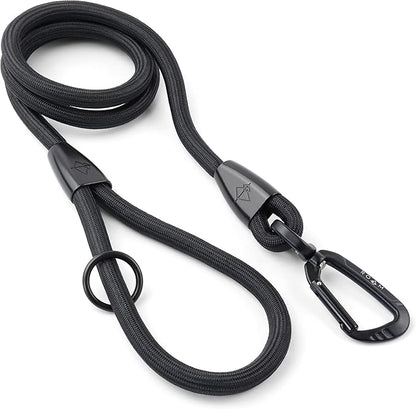 MADE TO ROAM Premium Everyday Leash - Ultra Soft Dog Leash with Aviation Aluminum Carabiner for Small, Medium, Large Dogs - New York Afterlight, 6ft (Rubber Coated Metal Clamps)