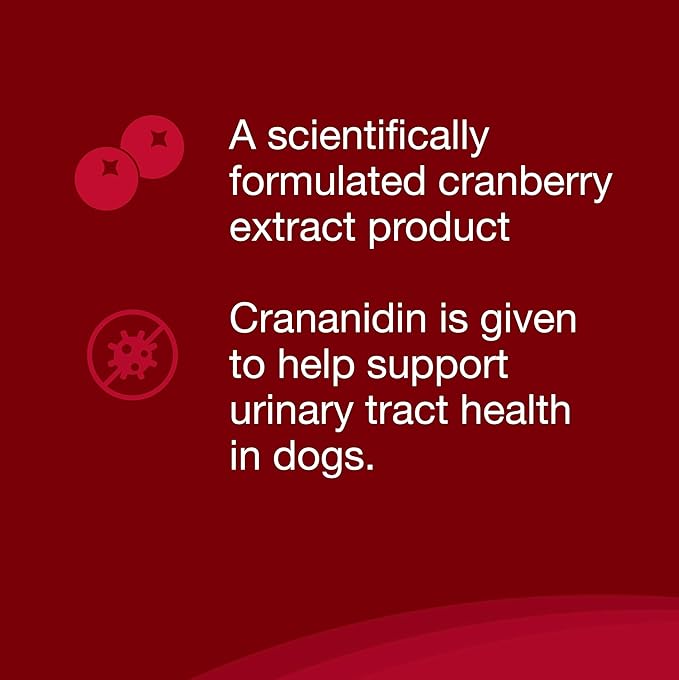 Crananidin Urinary Tract Health Supplement Chewable Tablets for Dogs