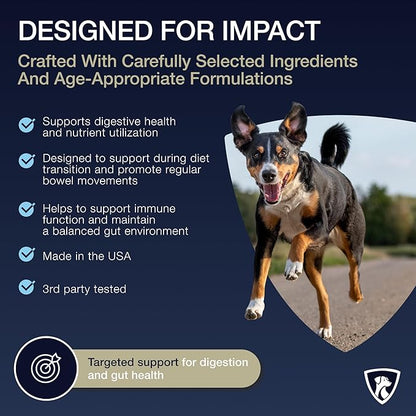 Select Digestive Senior Dog Probiotic Powder 30 Scoops | Beef Flavored Dog Probiotics for Digestive Health, Supports Gut Health, Scratching, Itchy & Dry Skin, Allergies 2.1 Oz | 7 Bn CFU