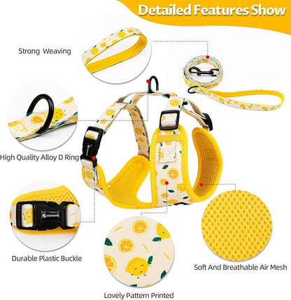 Dog Harness and Leash Set, Adjustable Dog Harness, Dog Leash, No Pull No Choke Puppy Harnesses for Walking Training for Small Medium Pet