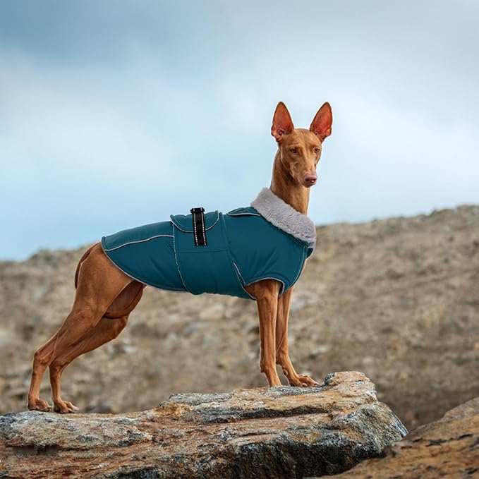 Lelepet Warm Dog Coats for Large Dogs Waterproof Dog Winter Jacket Reflective Pet Fleece Vest Windproof Cold Weather Coats with Adjustable Buckle & Leash Hole, Dark Green, XL