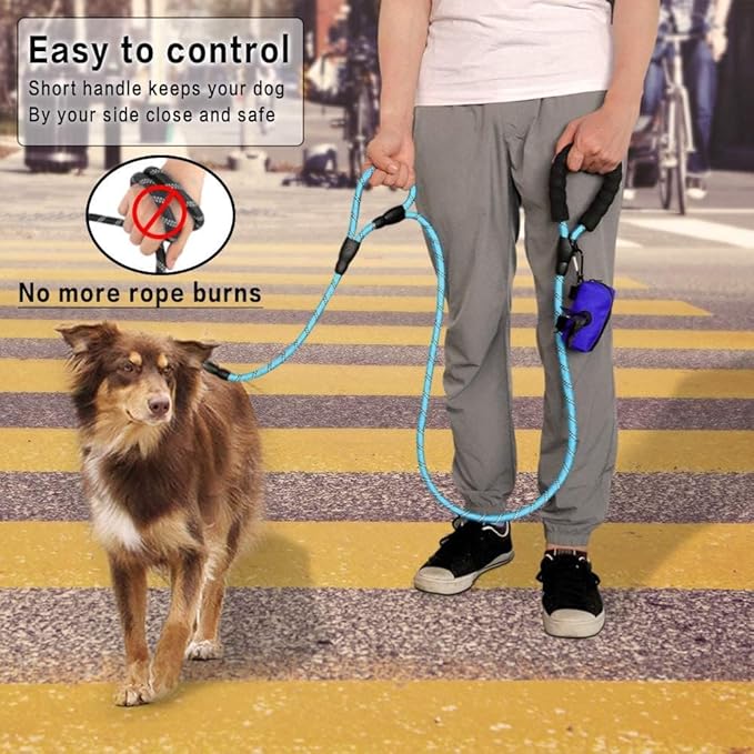 Plutus Pet Rope Dog Leash 6ft Long,Traffic Padded Two Handle,Heavy Duty,Reflective Double Handles Lead for Control Safety Training,Leashes for Large Dogs or Medium Dogs,Dual Handles Leads(Light Blue)