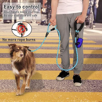 Plutus Pet Rope Dog Leash 6ft Long,Traffic Padded Two Handle,Heavy Duty,Reflective Double Handles Lead for Control Safety Training,Leashes for Large Dogs or Medium Dogs,Dual Handles Leads(Light Blue)