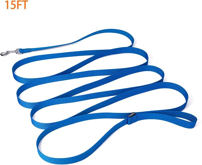 Siumouhoi Strong Durable Nylon 15ft Long Dog Training Leash, Traction Rope, 1 Inch Wide, for Small and Medium Dog (Blue, 15 Feet)