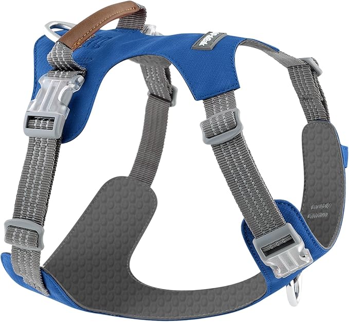 ApakBak No Pull Dog Harness – Adjustable Reflective Nylon Vest for Small Medium Large Dogs, Escape Proof Training Harness with Leather Control Handle, Lightweight Aluminum Hardware (Royal Blue, L)