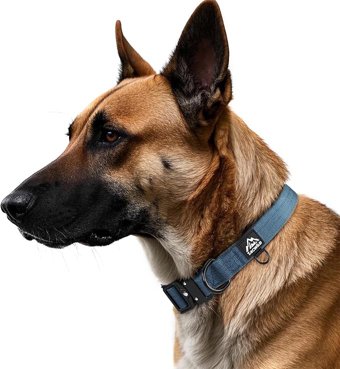 Heavy Duty Dog Collars for Medium and Large Dogs - Adjustable, Chew Proof Nylon Collar with Metal Quick Release Buckle and D-Ring for Dog Tags (Haze Blue, XL)