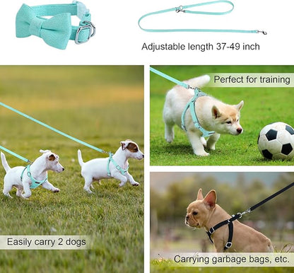 Dog Harness and Leash Set, XXS No Pull Adjustable Puppy Harness with Multifunction Pink Dog Leash and Dog Collar, Soft No Choke Escape Proof Pet Harness Vest for Small Dogs and Cats (Mint Green, XXS)