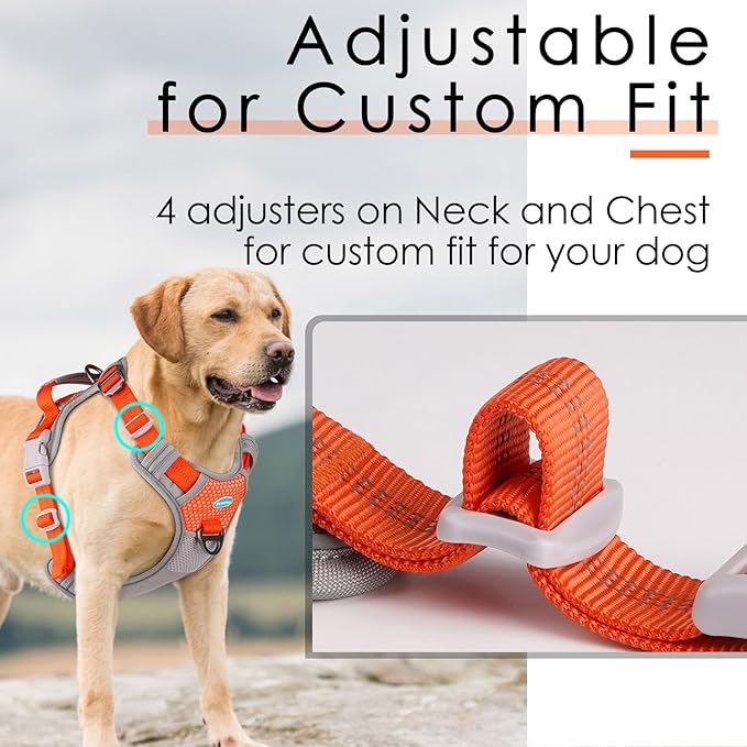 ThinkPet No Pull Harness Breathable Sport Vest with Handle-Dog Harnesses Reflective Adjustable for Medium Large Dogs