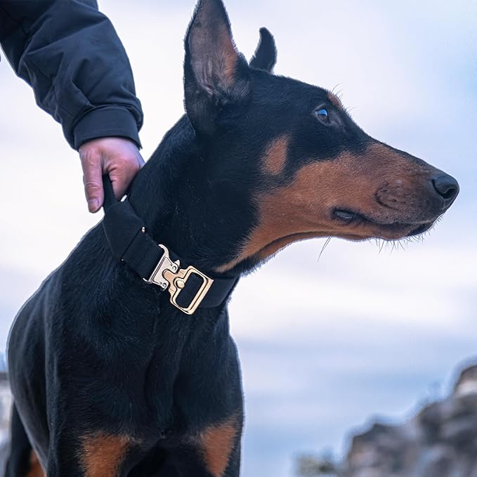 EXCELLENT ELITE SPANKER Tactical Dog Collar Military Adjustable Heavy Duty Training Dog Collar with Metal Buckle and Control Handle(Coyote Brown)