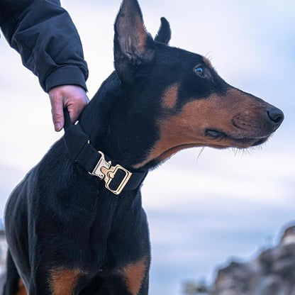 EXCELLENT ELITE SPANKER Tactical Dog Collar Military Adjustable Heavy Duty Training Dog Collar with Metal Buckle and Control Handle(Coyote Brown)
