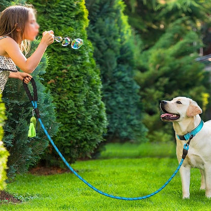 Dynmeow Reflective Dog Collar and Leash Set, 6FT Strong Climbing Rope Leash with Padded Handle, Adjustable Pet Collar with Soft Neoprene Padding for Medium Large Dogs, Blue, M