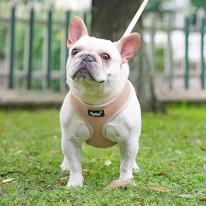 PUPTECK Soft Mesh Dog Harness and Leash Set Pet Puppy Cat Comfort Padded Vest No Pull Harnesses, Solid Beige, M