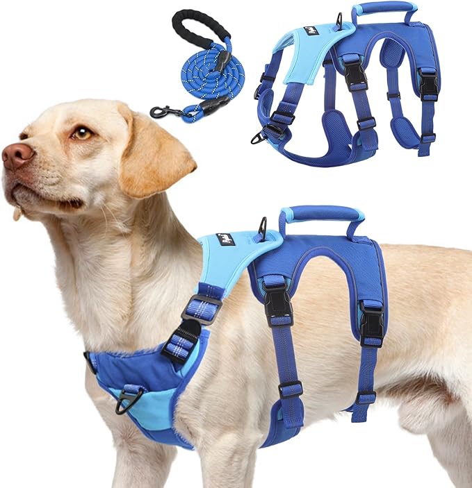 PUPTECK Escape Proof Dog Harness and Leash Set Upgraded No Pull Reflective Dog Vest with Lift Handle, Easy Control Pet Harness for Medium Large Dogs Training Walking Running, Blue, M