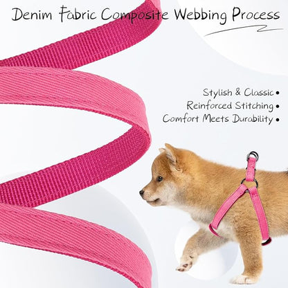 BINGPET Dog Harness Leash Set,Adjustable No Pull Step in Dog Harness,Stylish Denim Puppy Harness for Small and Medium Dogs Easy Walk Training Running(Pink,M)